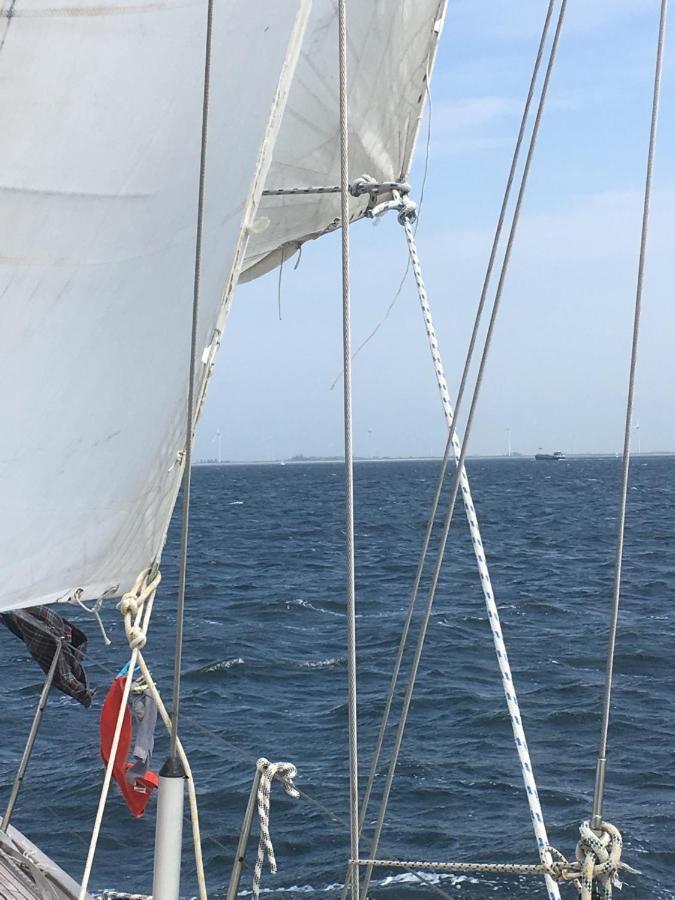 Stay Only Or Sailaway With Friends And Family Have More Fun ميديمبليك المظهر الخارجي الصورة